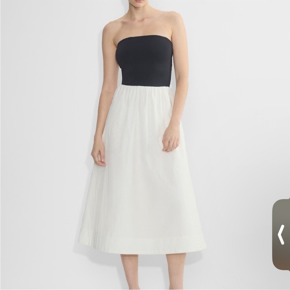 Aritzia Babaton fluid dress
